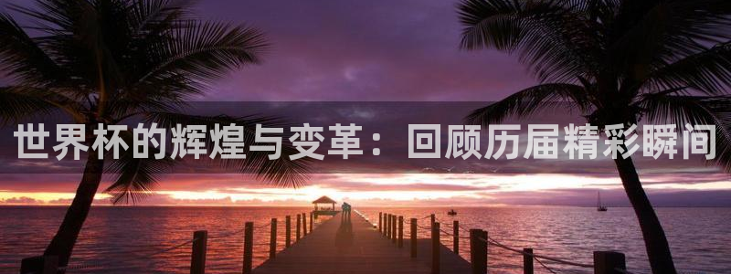 世界杯 赛程:世界杯的辉煌与变革:回顾历届精彩瞬间