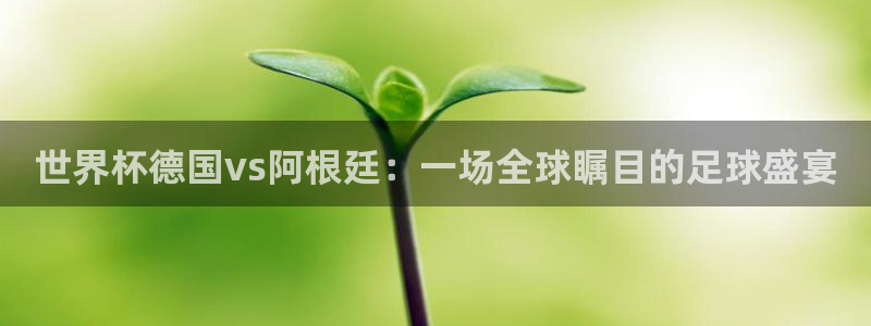 世界杯预赛赛程:世界杯德国vs阿根廷:一场全球瞩目的足球盛宴